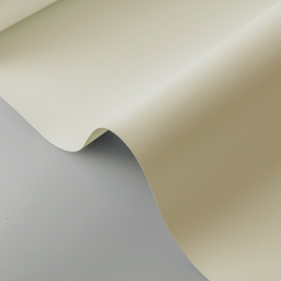 Custom Insulated Waterproof Roller Blinds with Box- Beige Tint