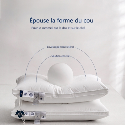 Oreiller 95% Duvet D'oie Moelleux, Oreiller Plume D'oie