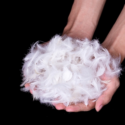 Oreiller en Plume, Oreiller 50% Plumes D'Oie, L'oreiller Synthétique Premium